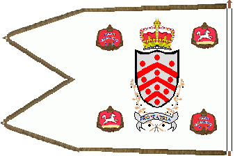 [Standard of Gloucester City Troop 1797]